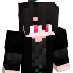 aong0324's Minecraft skin