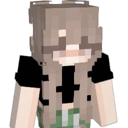 aperire21 Minecraft avatar bust