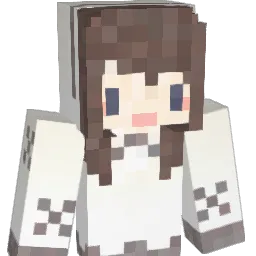 api_1130's Minecraft skin