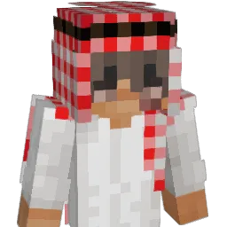 aporophobie Minecraft avatar bust