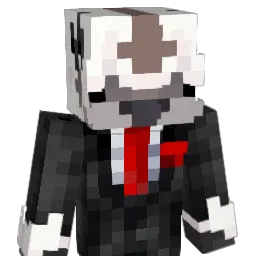 appushhh Minecraft avatar bust