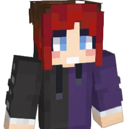 apsfj's Minecraft skin