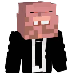 aqom Minecraft avatar bust