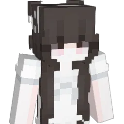 aquariusdeperaa Minecraft avatar bust