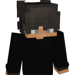 arajoo1161 Minecraft avatar bust
