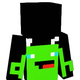 arasbelu_ Minecraft avatar bust