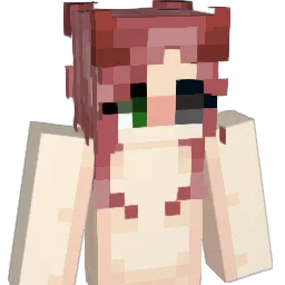arashb's Minecraft skin