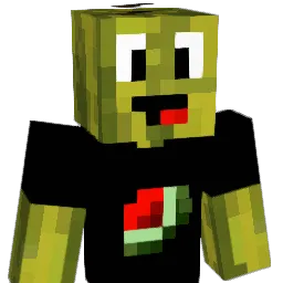 arbuz63 Minecraft avatar bust