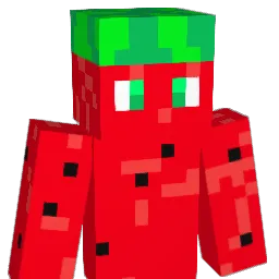 arbuzik__ Minecraft avatar bust