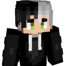 arch2011_'s Minecraft skin