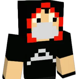 areeb112 Minecraft avatar bust