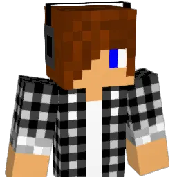 arenabuilder123 Minecraft avatar bust