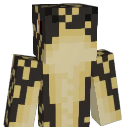 ari_mp4's Minecraft skin