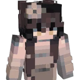 arianauh1 Minecraft avatar bust