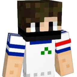 ariel1245 Minecraft avatar bust