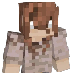 arigamer123456 Minecraft avatar bust