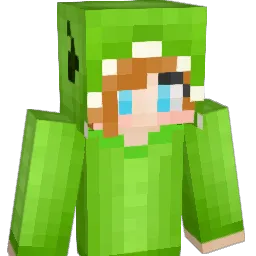 arin_ Minecraft avatar bust