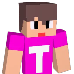 ariomaeri Minecraft avatar bust