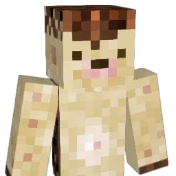 arisely Minecraft avatar bust