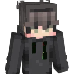 arm_zy