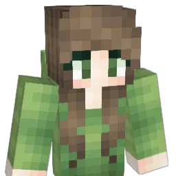 army12345678 Minecraft avatar bust
