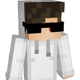arne_os
