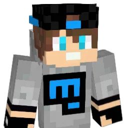 aros356 Minecraft avatar bust