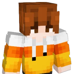 arpat14 Minecraft avatar bust