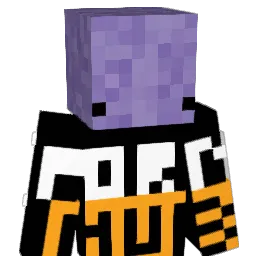 arree11 Minecraft avatar bust