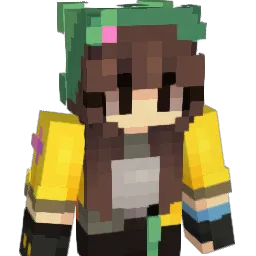 arryfei's Minecraft skin