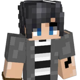 arthhurC14 Minecraft avatar bust