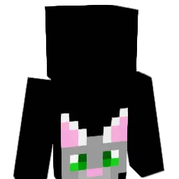 artynfarty Minecraft avatar bust