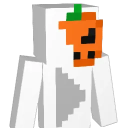 ashermp4 Minecraft avatar bust
