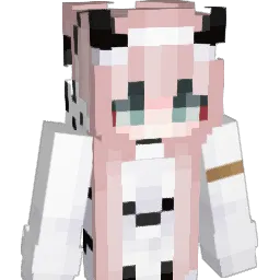 asianbrokie Minecraft avatar bust