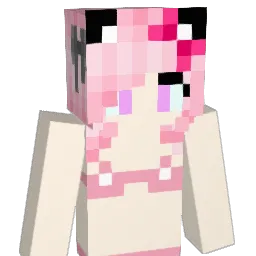 asrlol's Minecraft skin