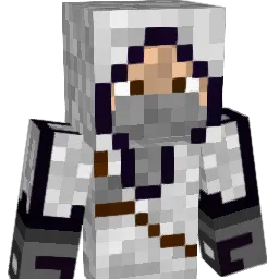 assassin13325 Minecraft avatar bust