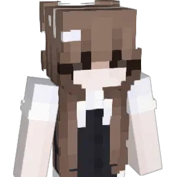 asso997 Minecraft avatar bust