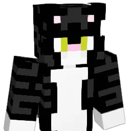 asuka0009 Minecraft avatar bust