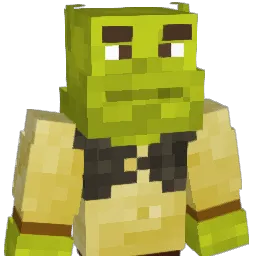 asweeney555 Minecraft avatar bust