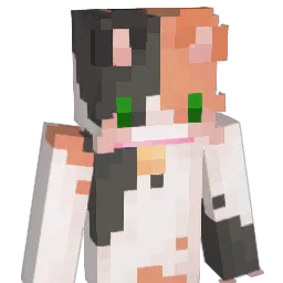 auggi3 Minecraft avatar bust