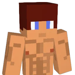 auzie03 Minecraft avatar bust
