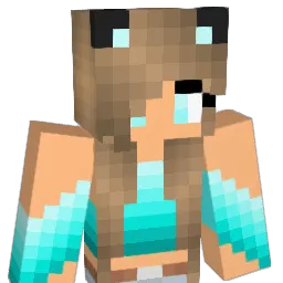 ava1100 Minecraft avatar bust
