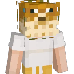 avilez1 Minecraft avatar bust