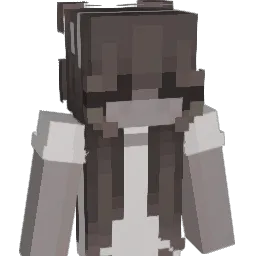 avwas's Minecraft skin