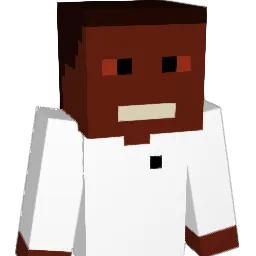 aw17x Minecraft avatar bust