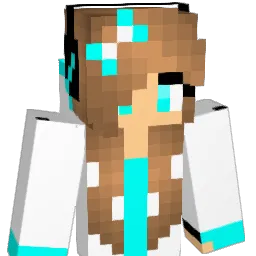 awas317 Minecraft avatar bust