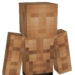 awd012 Minecraft avatar bust