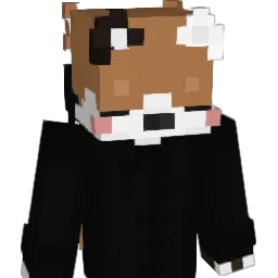 awrff's Minecraft skin