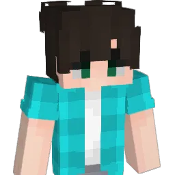 axlc's Minecraft skin