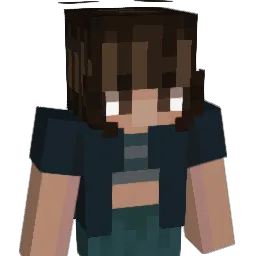 ayeshmoney Minecraft avatar bust